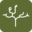 canopywines.com icon