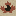 canuxploitation.com icon