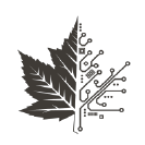 canwise.com icon