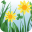 caoliu1024.com icon