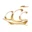 captaincookscanada.com icon