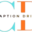 captiondrift.com icon