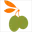 carbon60oliveoil.com.au icon