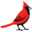 cardinalpaint.com icon