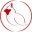 cardinalpub.com icon