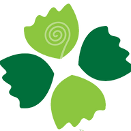 careaboutyou.ie logo