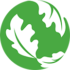 Domain Favicon