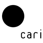 Favicon for cari.institute