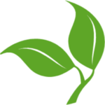 carishealthcare.com icon