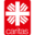 caritas-pflegenetz.de icon