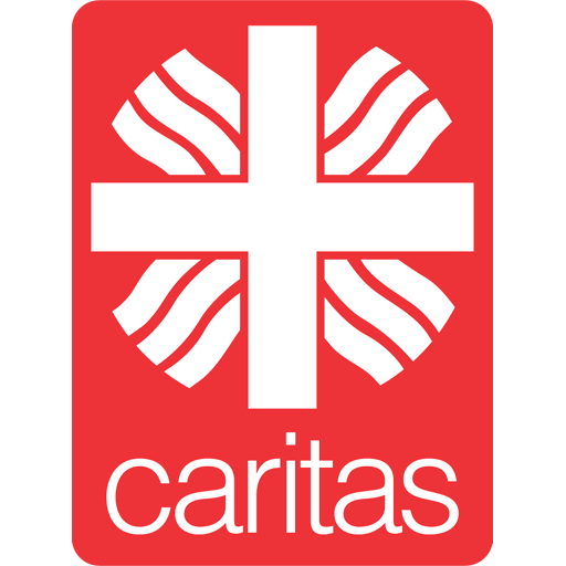 caritas-wsg.de icon