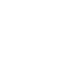 caritasitaliana.it icon