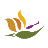 carlsbad-village.com icon