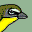 carolinabirdclub.org icon