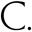 carolwoodre.com icon