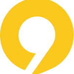 caronic.com icon