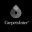 carpetsinter.com icon
