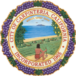 carpinteriaca.gov icon
