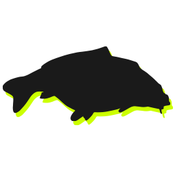 carpshop.ru icon