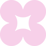 carreradelasrosas.com icon
