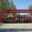 carreradownmadrid.org icon