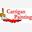 carriganpainting.com icon