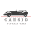 carsio.pl icon