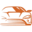 carskaut.pl icon