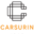 carsurin.com icon