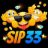 cartercopters.com icon