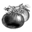 casayellow.com icon