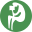 caselles.com icon