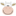 cashcow.co.il icon