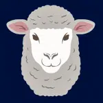 cashmerecustom.com logo
