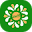 casino-desi.org icon