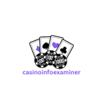 casinoinfoexaminer.co.uk icon