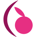 cassisberry.com icon