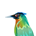 castararetreats.com icon