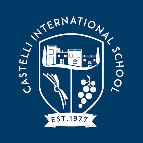 castelli-international.it icon