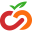 castellinicompany.com icon