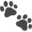 cat-bounce.com logo