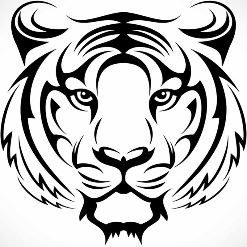 cat60.com icon