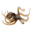 catalinaseacamp.org icon