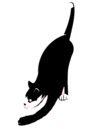 catbytes.community icon