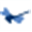 caucho.com logo