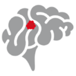 cavernoma.org.uk icon