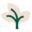 cayugacollection.com favicon