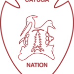 cayuganation-nsn.gov icon