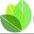 cbd.co icon