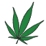 cbddiscounter.de icon